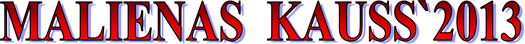 mk2013 logo